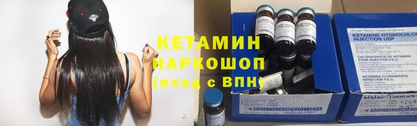 молекула духа Богданович
