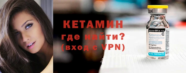 молекула духа Богданович