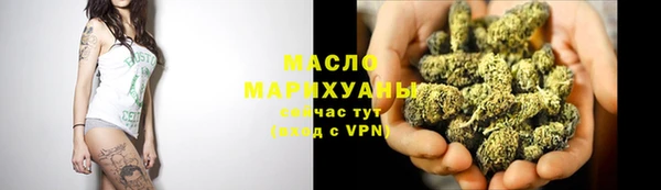 молекула духа Богданович