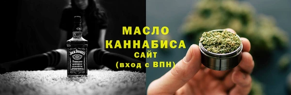 молекула духа Богданович