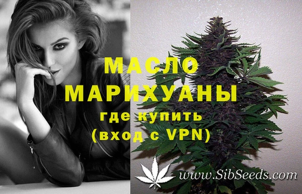 молекула духа Богданович