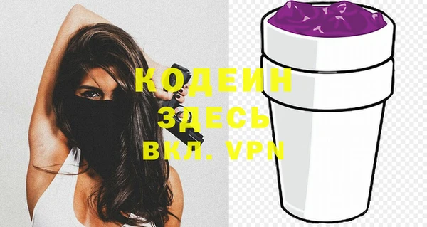 молекула духа Богданович