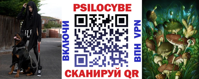 Псилоцибиновые грибы прущие грибы  Макаров 